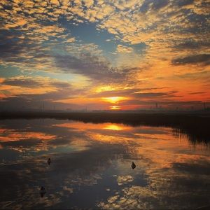 Meet your Posher, Jarred